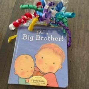 Big Brother Book